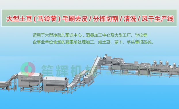 泉山连续式土豆去皮清洗切割风干生产线